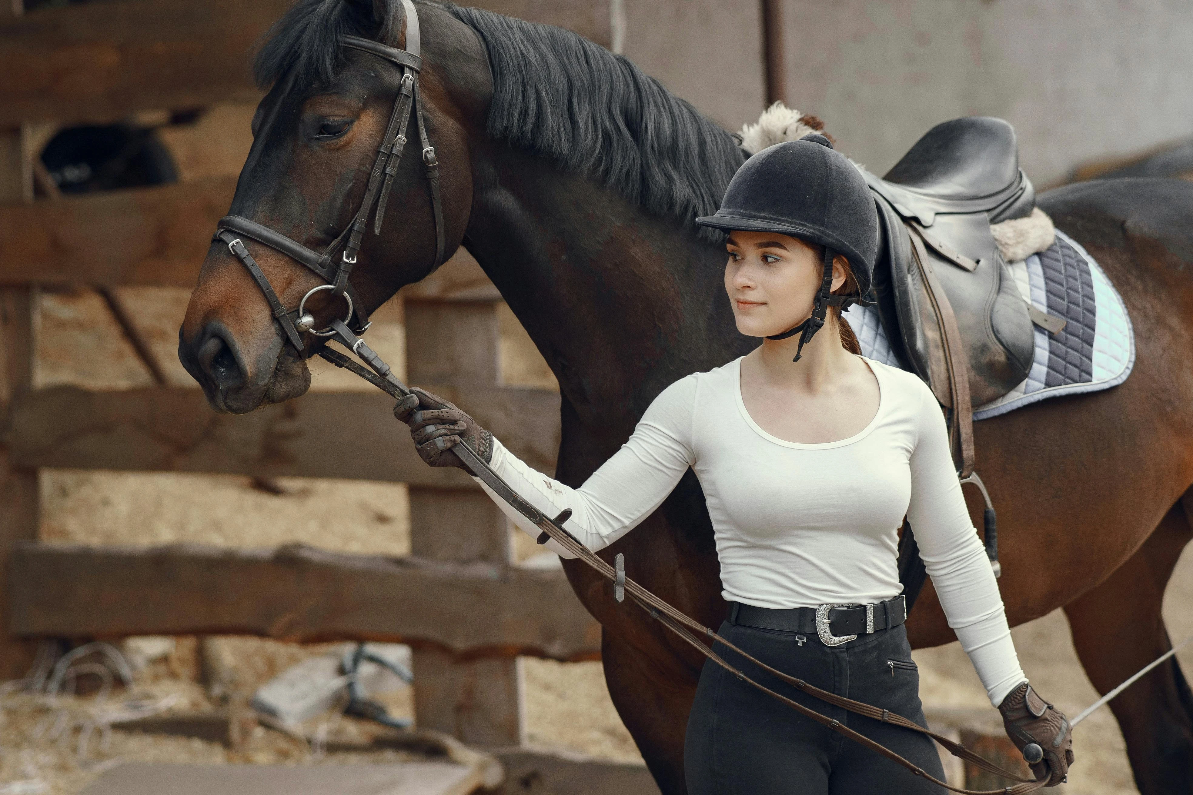 Saddle